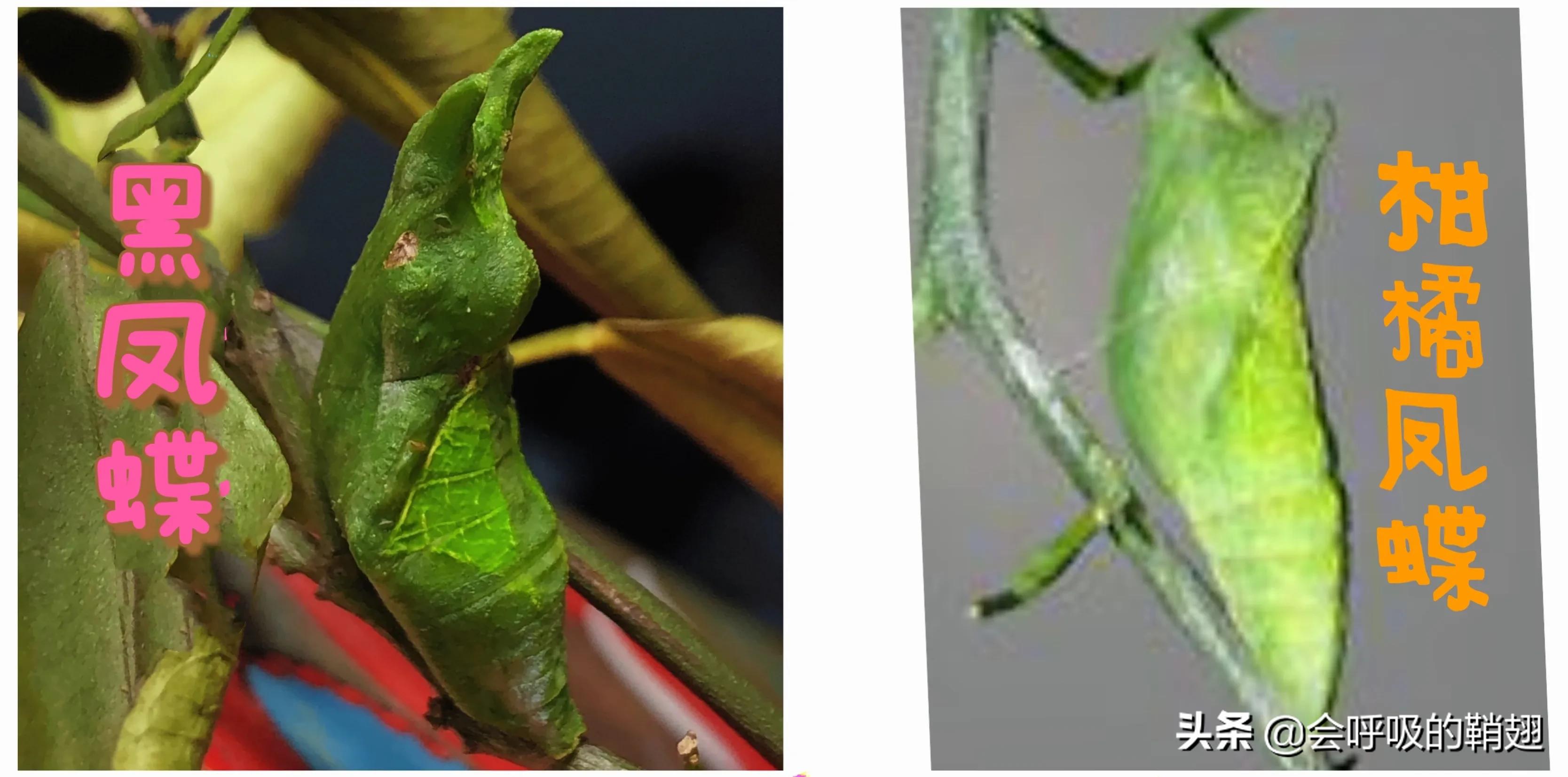 5个月的等待,经过5个多月的漫长等待