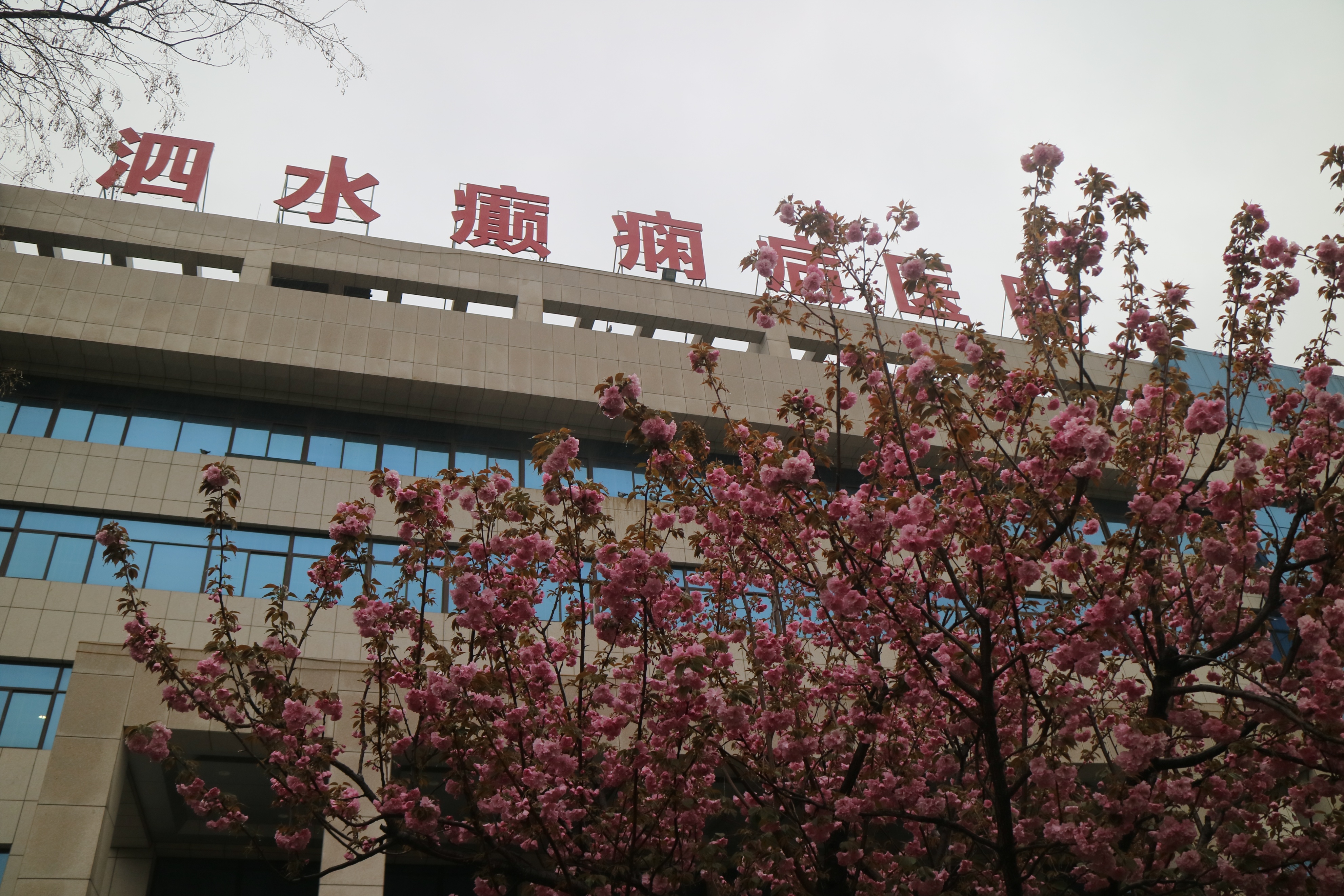 春来赏花踏青,春天去赏花泗水