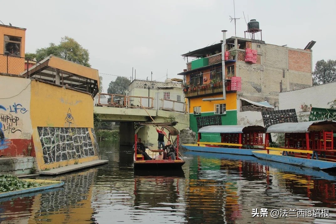 广州海关截获“六角恐龙”，花鸟市场50元6条，难道是濒危物种？