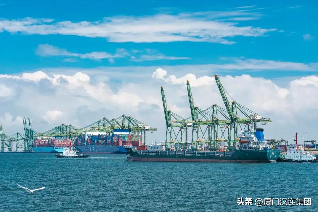 进出口商品贴标签要注意什么,进出口货物申报办事指南