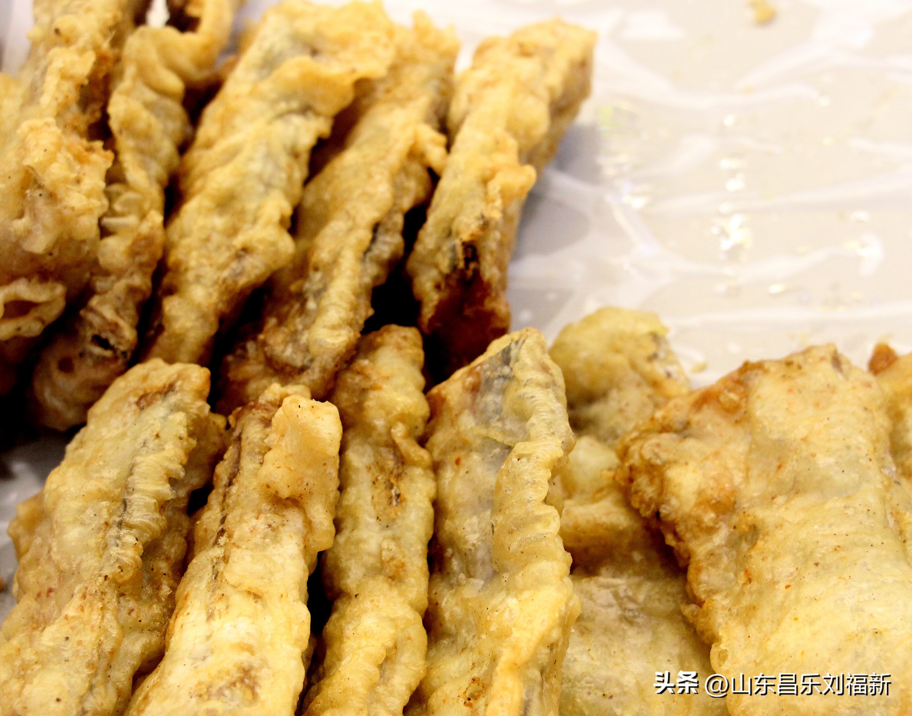 洋槐花·万马奔腾电器·鄌郚医院贴膏药