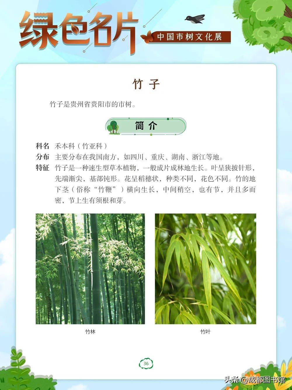 数字文化资源宣传,数字文化资源