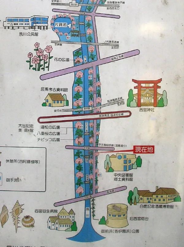 日本城市为什么那么干净,日本东京公园现状