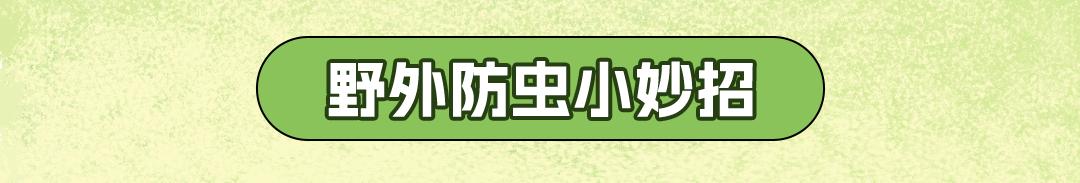 被哪种虫子咬了有个小孔,被什么昆虫咬了刺痛