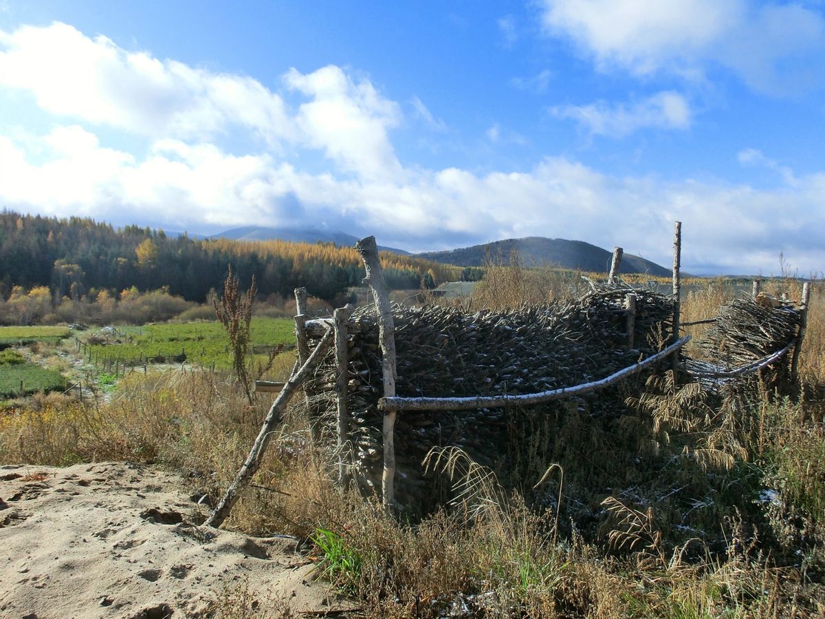 金秋时节登山视频,金秋登太行免费完整版