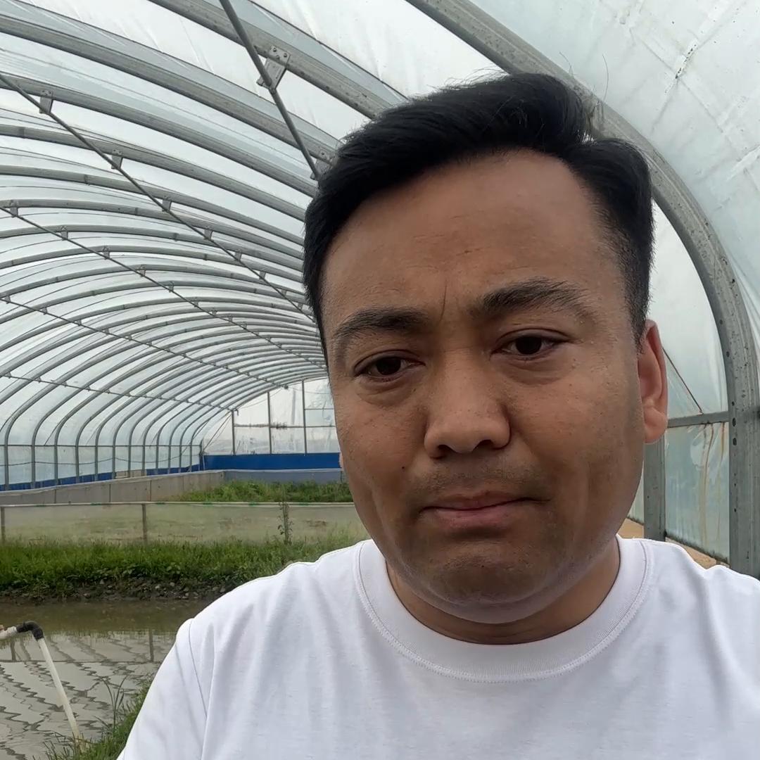 蟾蜍养殖在线解答,蟾蜍养殖新手必看