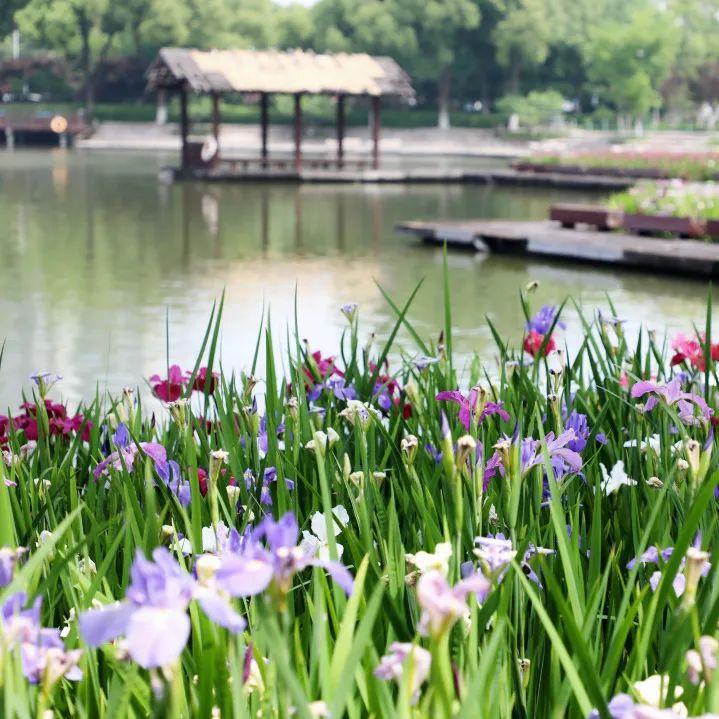 五一的常州,常州的五一