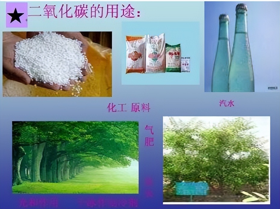 科学知识大全小学生必背,科学知识大全全集