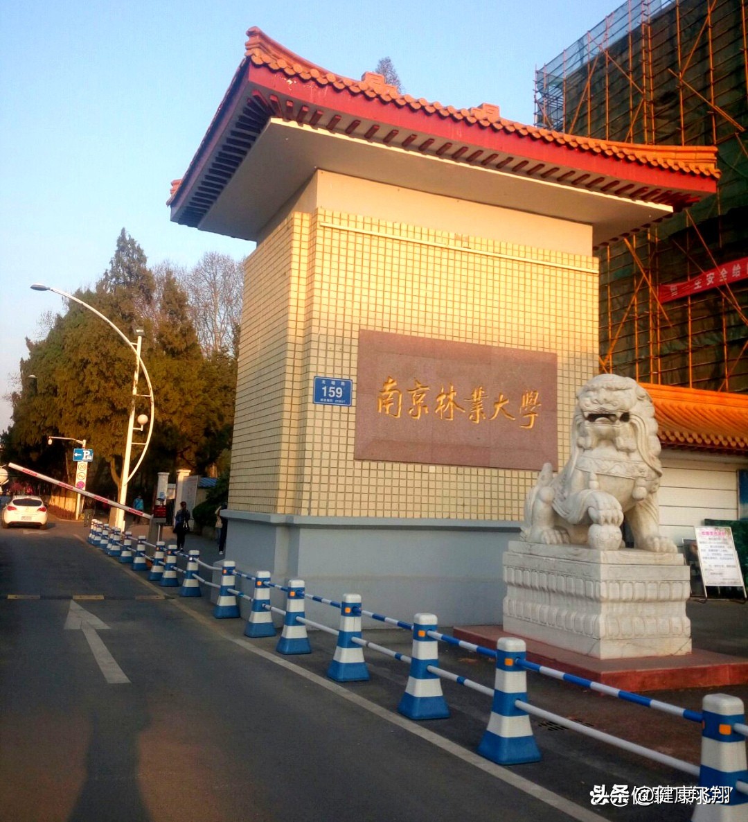 2023高考南京林业大学江苏录取4926人，南京校区和淮安校区分差大