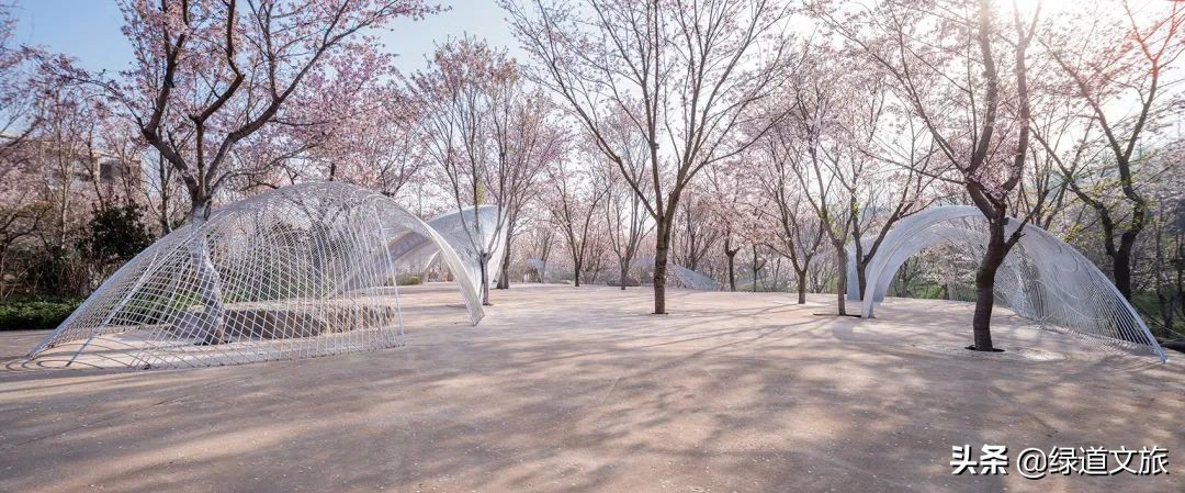 樱花树下的约定字体设计,樱花树下的约定完美国度