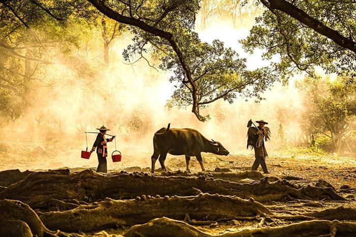 霞浦畲族农家乐,霞浦盐田农家乐