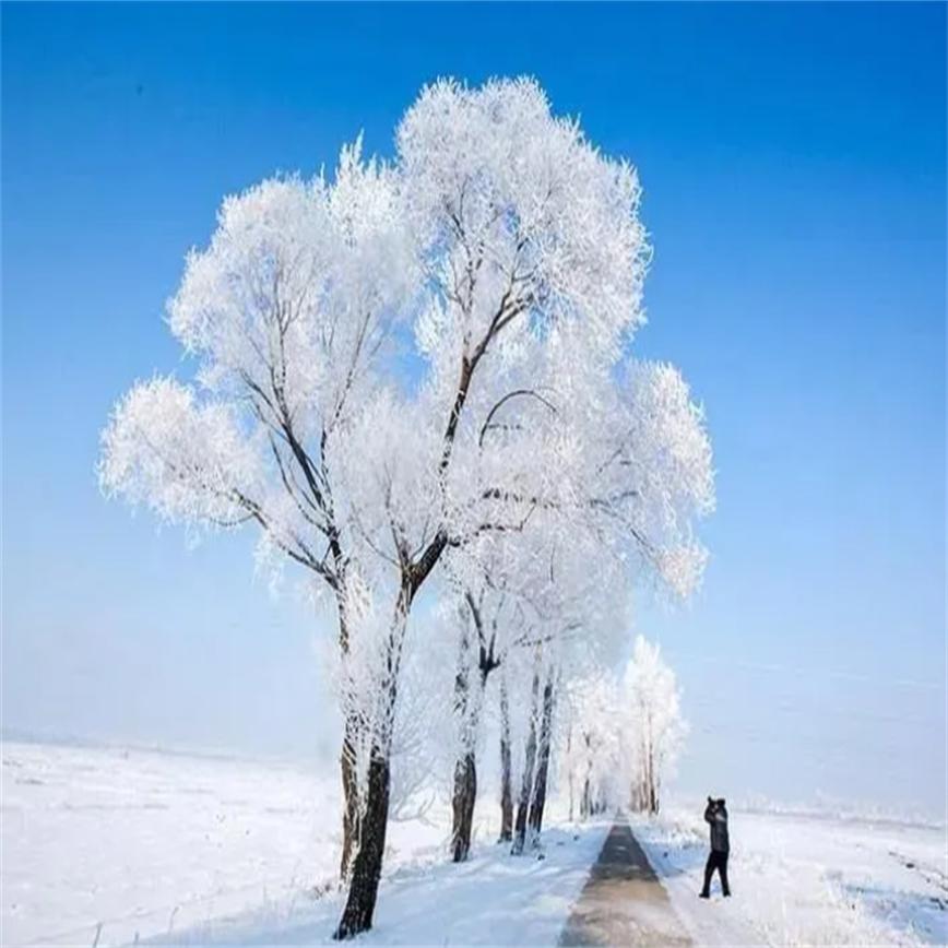 稻草可以做燃料吗,秸秆稻草做燃料