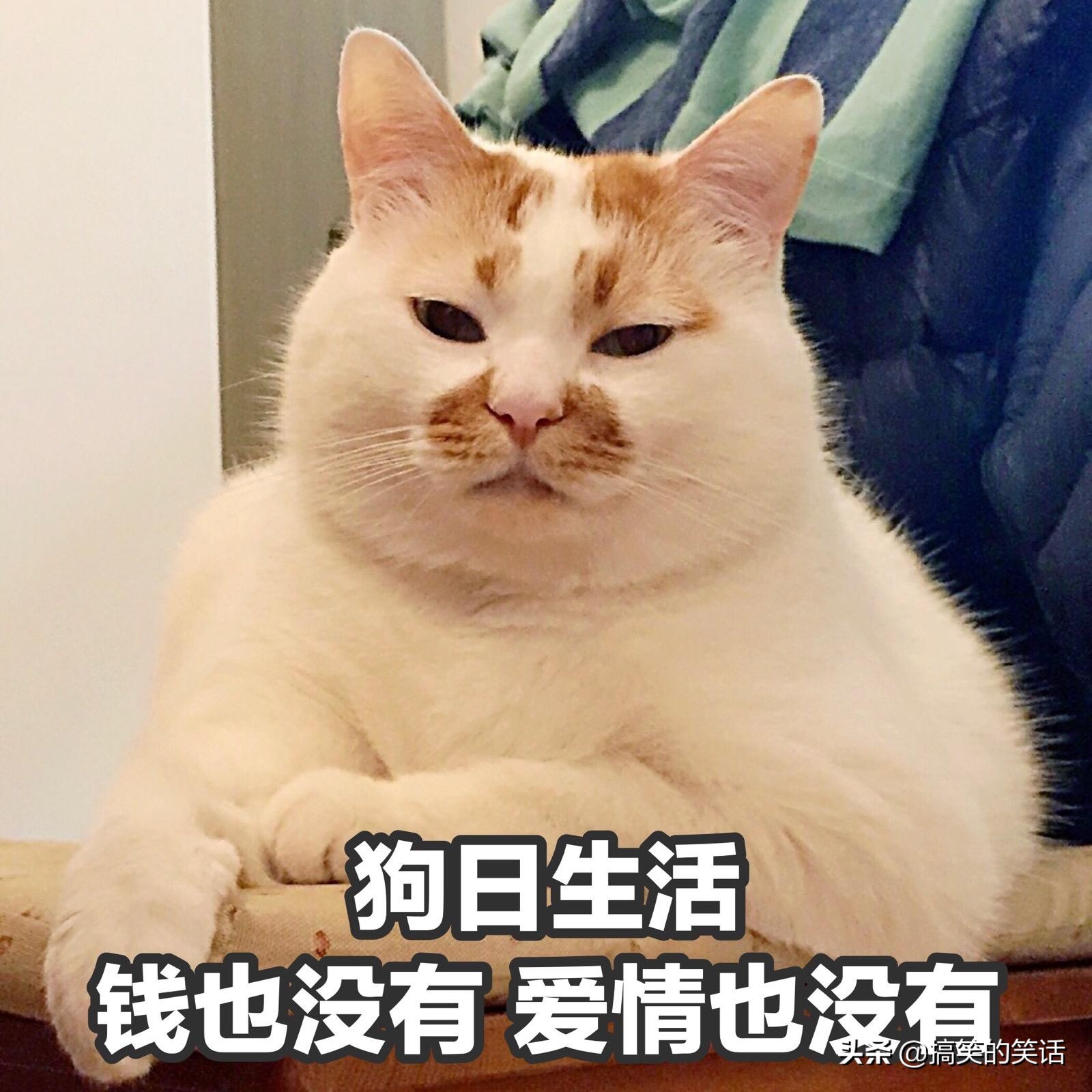 爆笑经典失恋搞笑冷笑话，糗事小朋友搞笑笑话