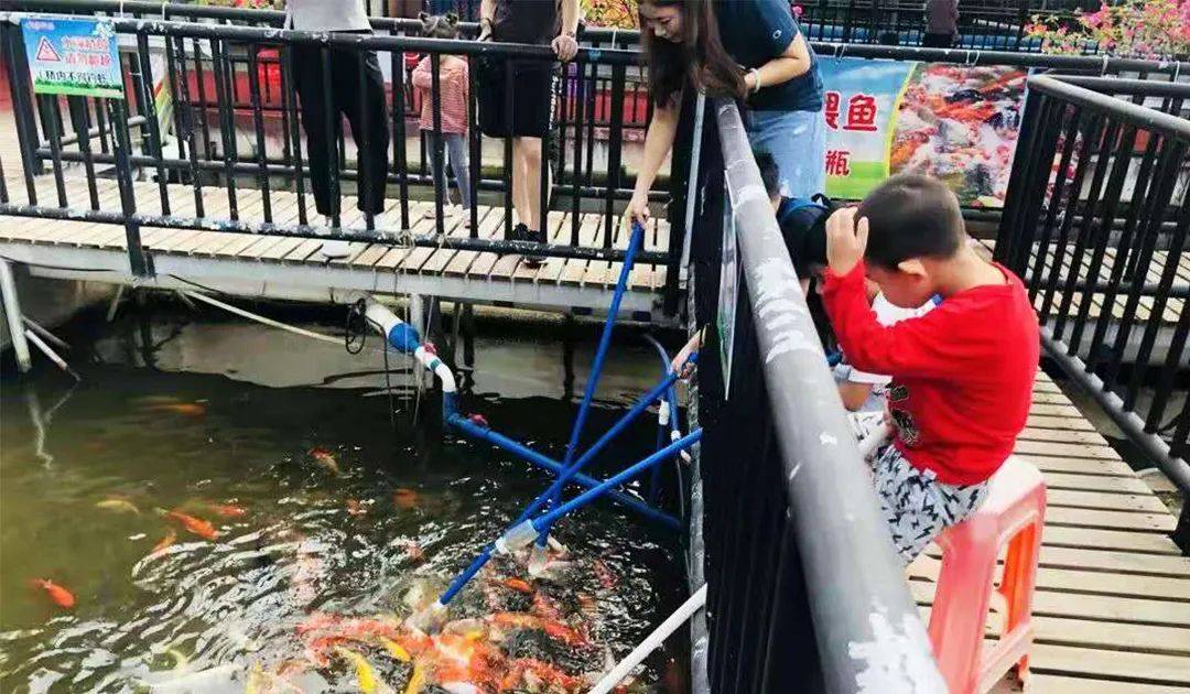广州番禺适合遛娃吃喝玩乐的地方,周末遛娃好去处广州番禺