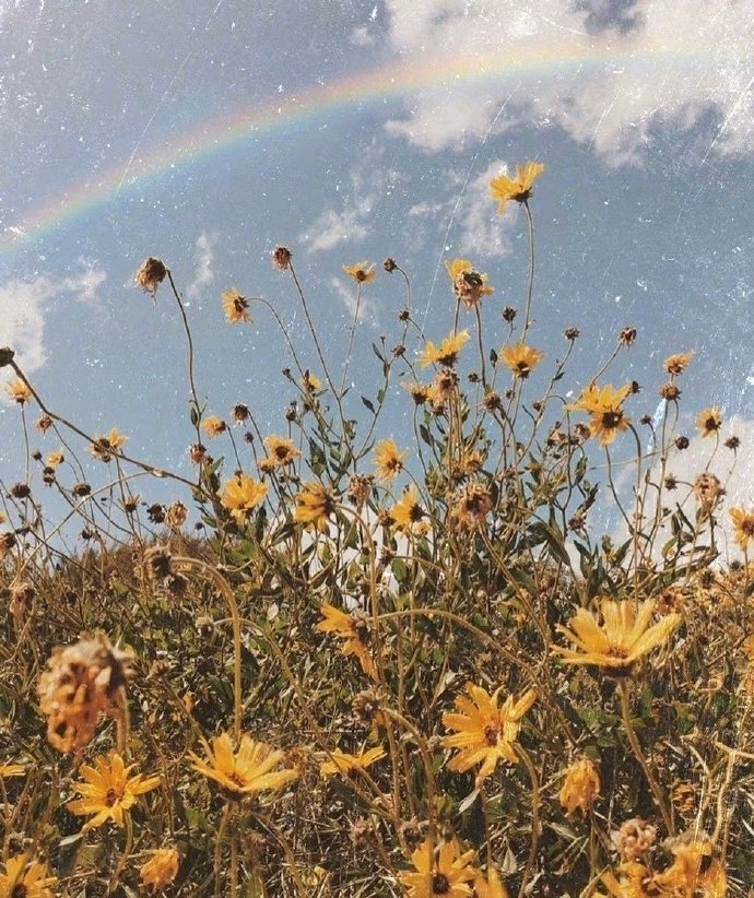 合租女生注意十大事项,合租受的委屈