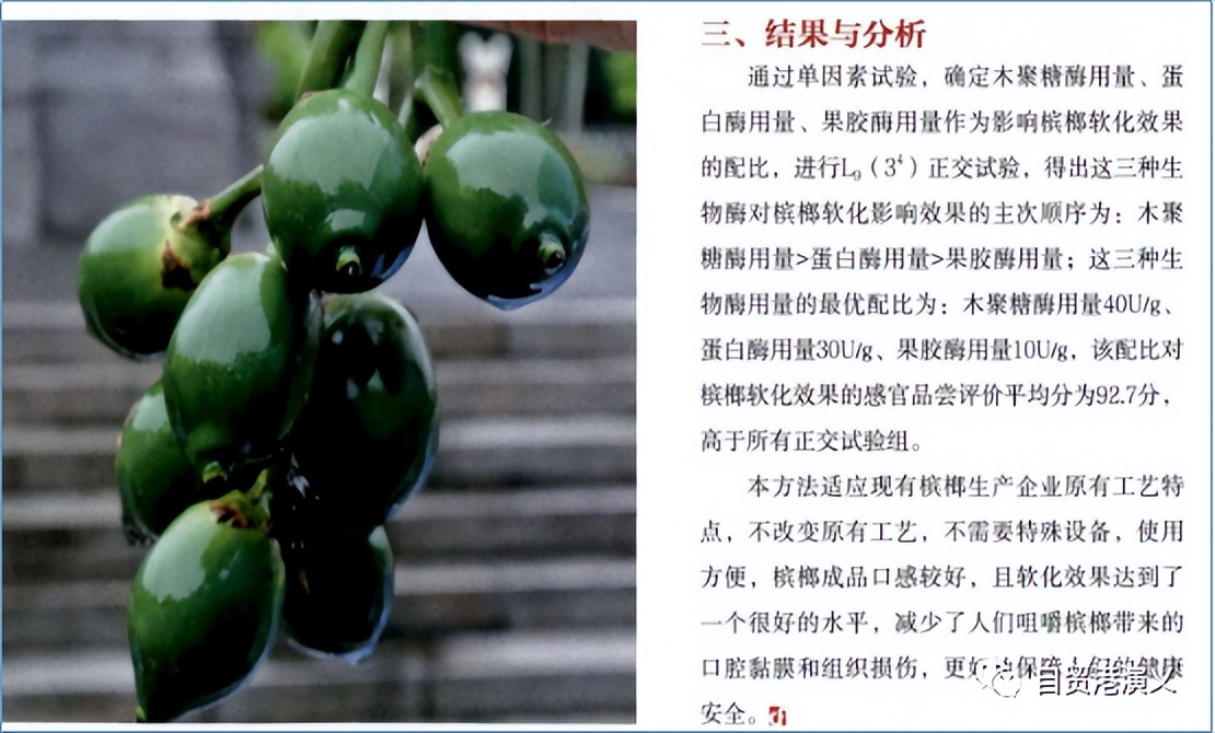 海南槟榔危机,槟榔行业面临危机何去何从