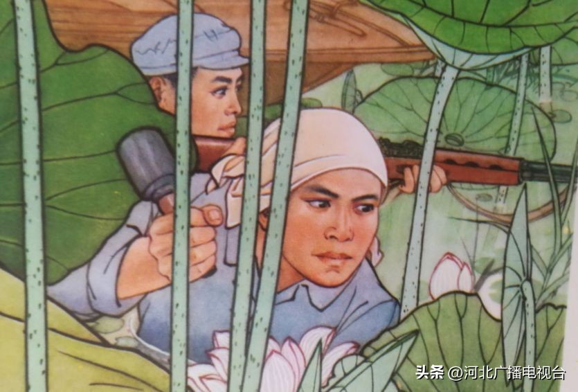 今日的白洋淀视频,现在白洋淀的情况