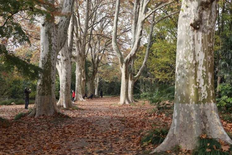 最值得打卡的动物园,国庆必打卡动物园推荐