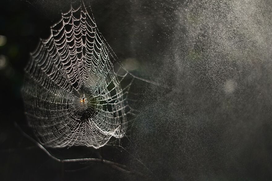 大自然的美景秋天摄影照片,美丽的大自然春夏秋冬图片大全