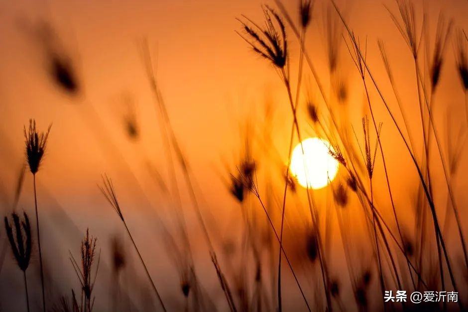 你的微信名早已暴露了你的一切,微信名看性格分析