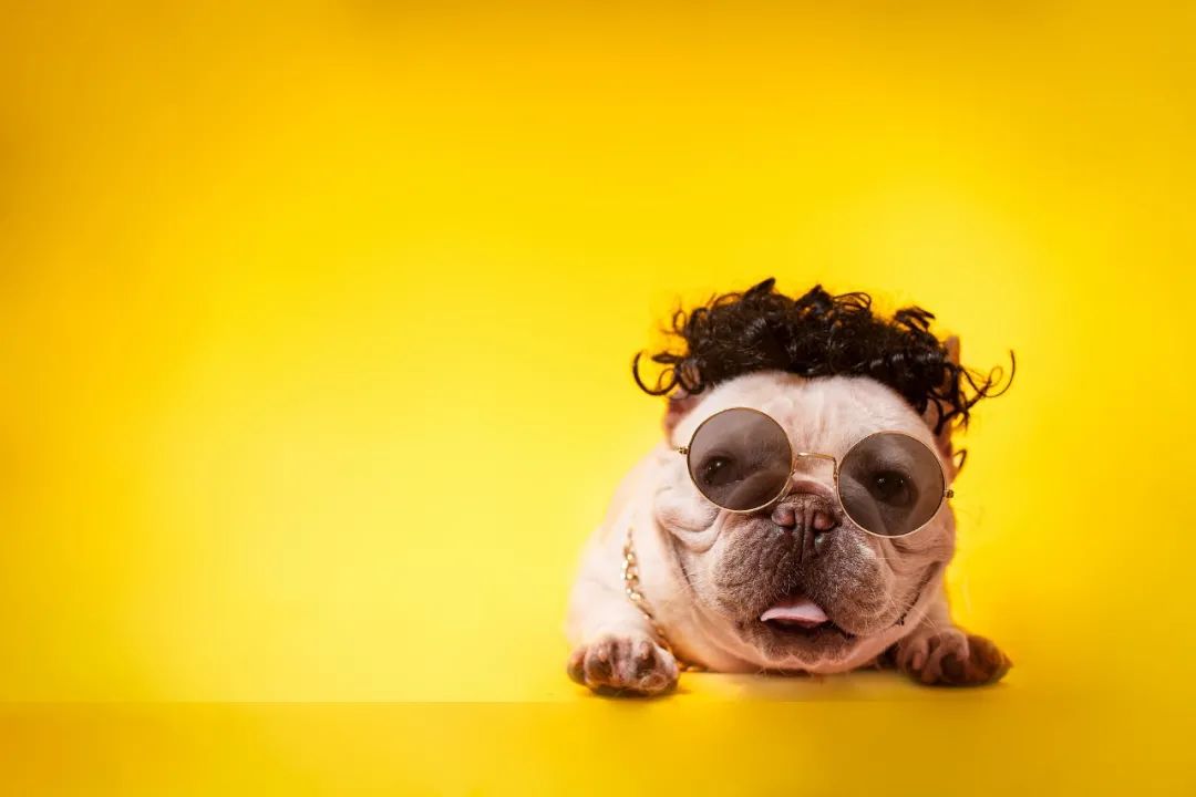 故事大全成人睡前幽默段子,搞笑幽默的段子故事