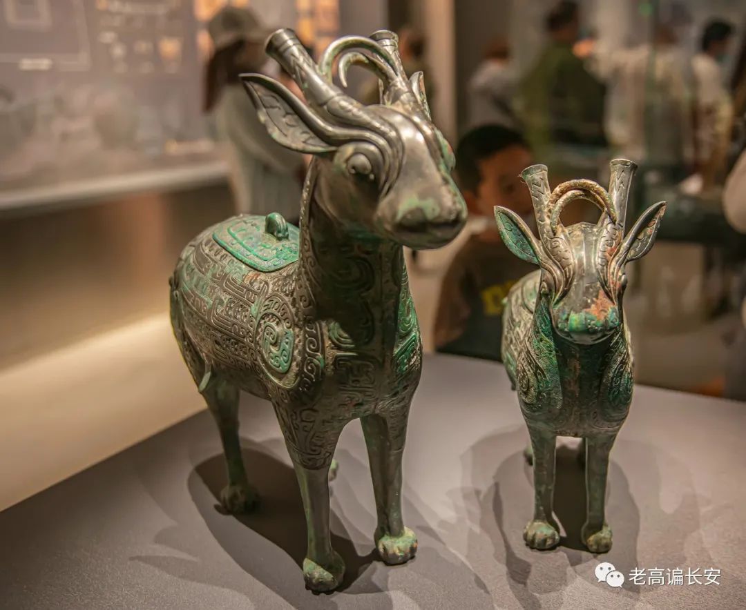 陕西考古博物馆玉器图片,陕西考古博物馆门票预约