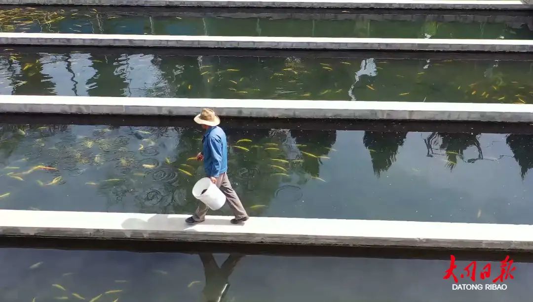 借助资源优势，灵丘、天镇依山傍水发“渔”财