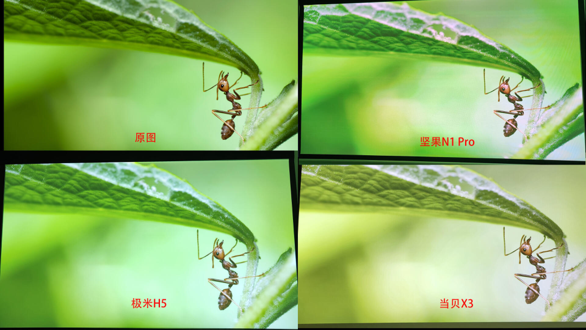 当贝f5和坚果n1pro对比评测,当贝x5和坚果n1spro4k真实测评