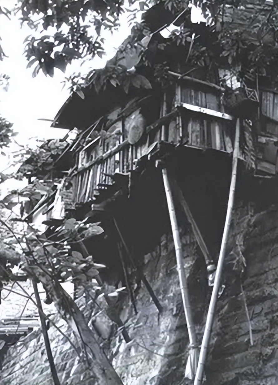 故城时光山城步道,古城时光沙坪坝