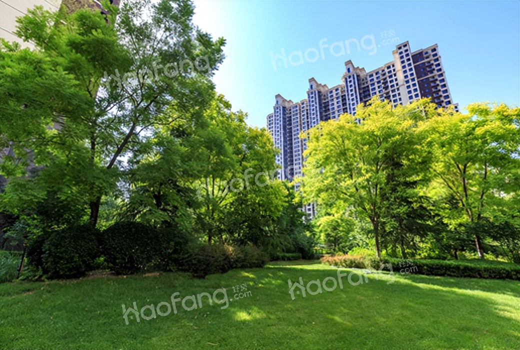 单身在上海买房子,单身在上海买别墅