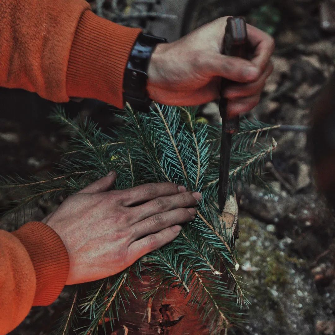 在川西Bushcraft是种什么体验？