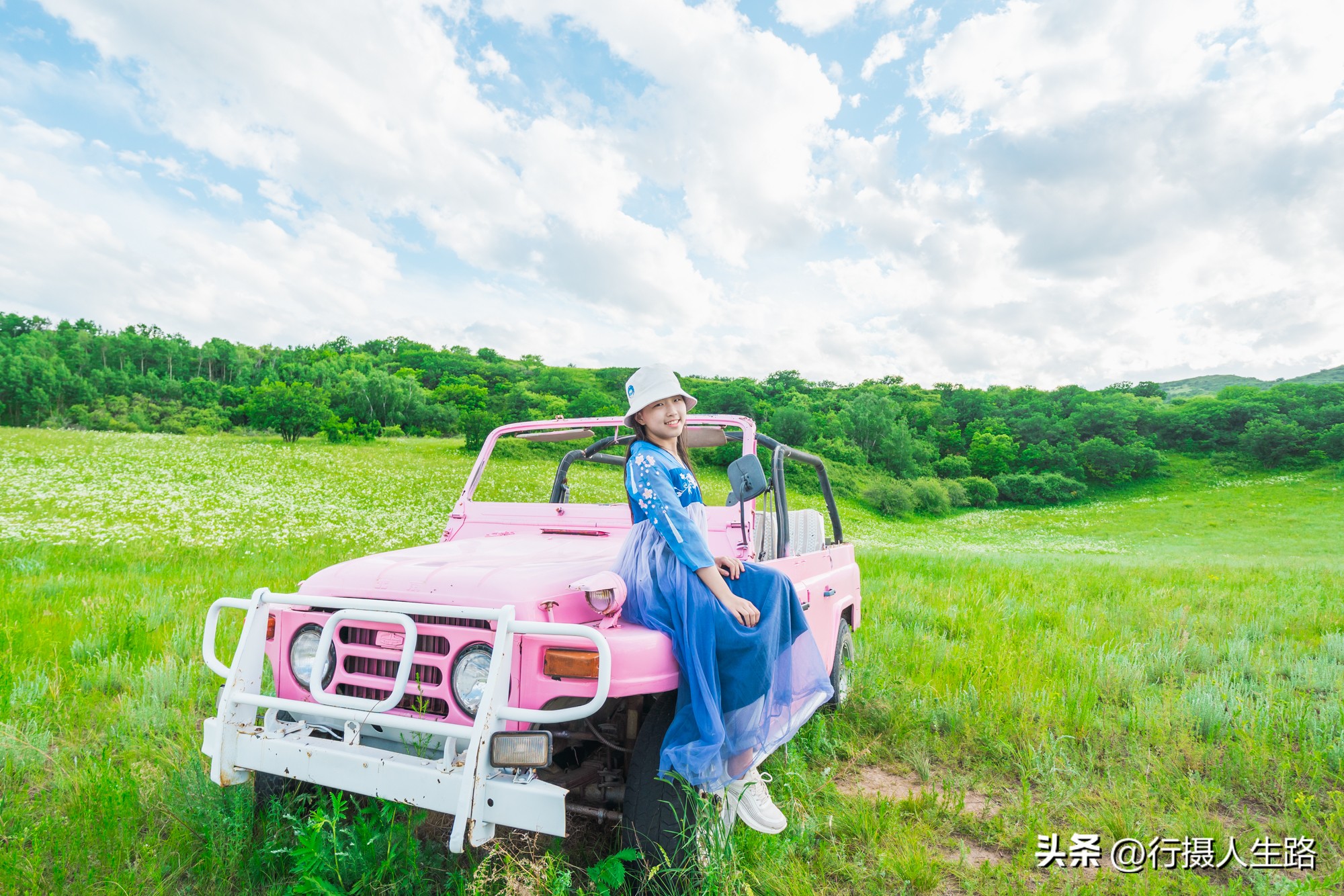 一路向北去黑龙江漠河,一路向北去寻找花海