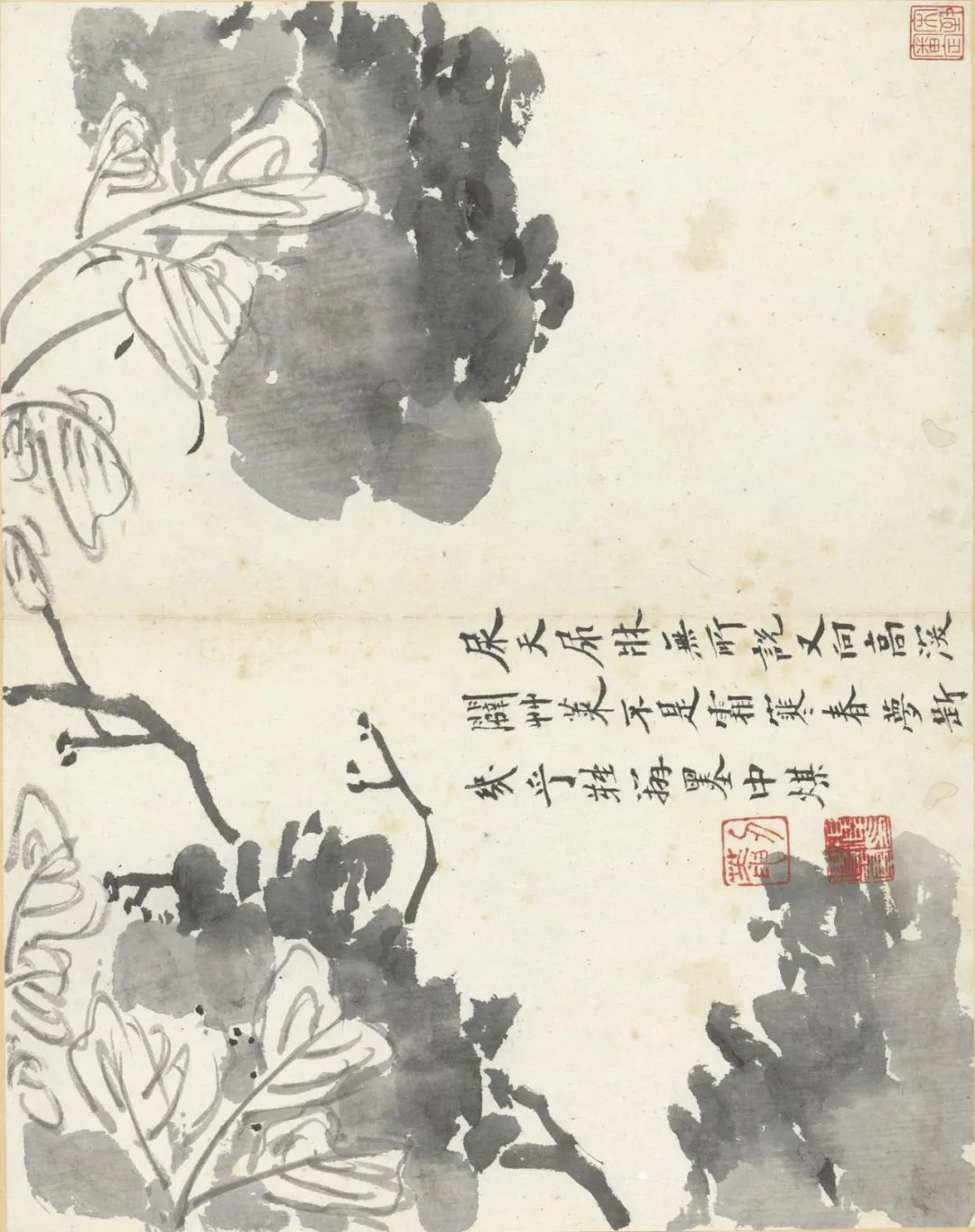 慕容看世界的视频,慕容看世界所有视频