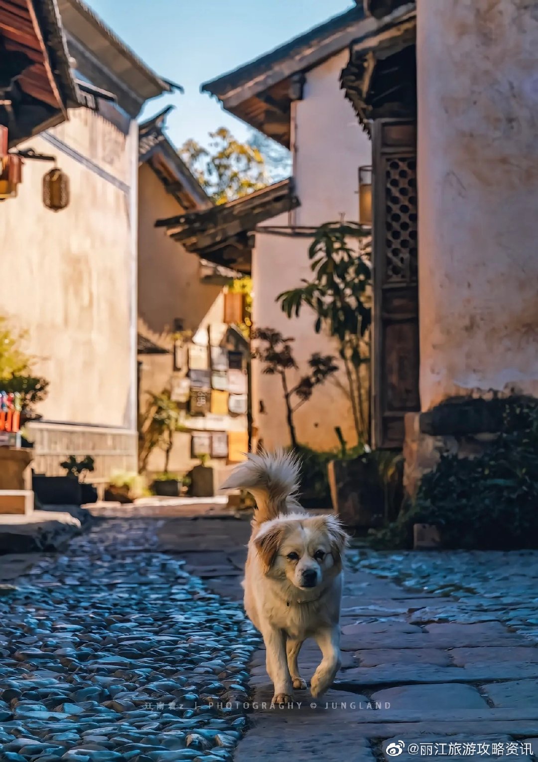 云南西双版纳旅游攻略,云南贵州旅游详细攻略