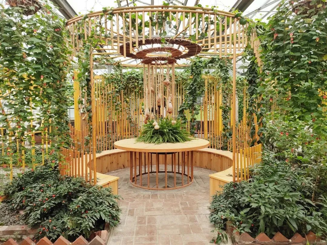 北京植物园的赏花的最好时节,西山秘境惊艳北京的植物