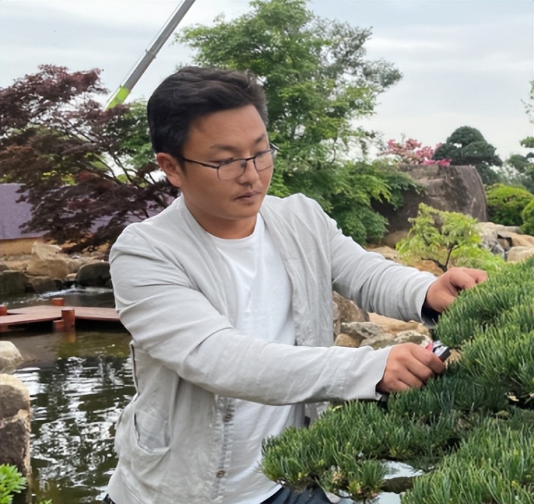 10年后的苗木行情,十年后苗木销路