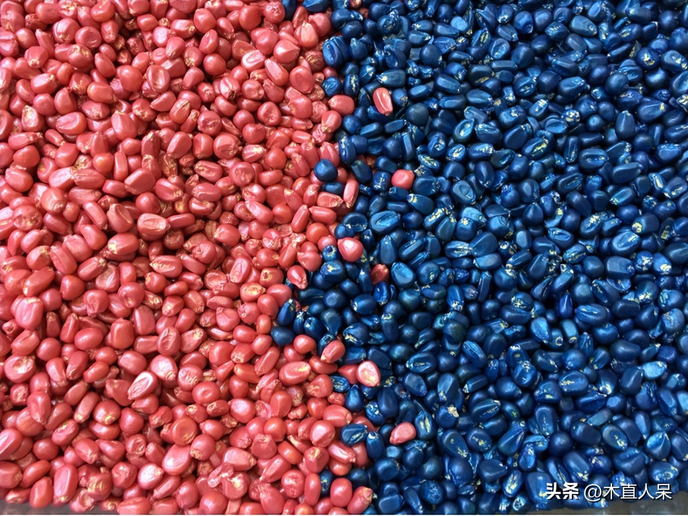 悬浮种衣剂生产操作规程,悬浮种衣剂什么意思