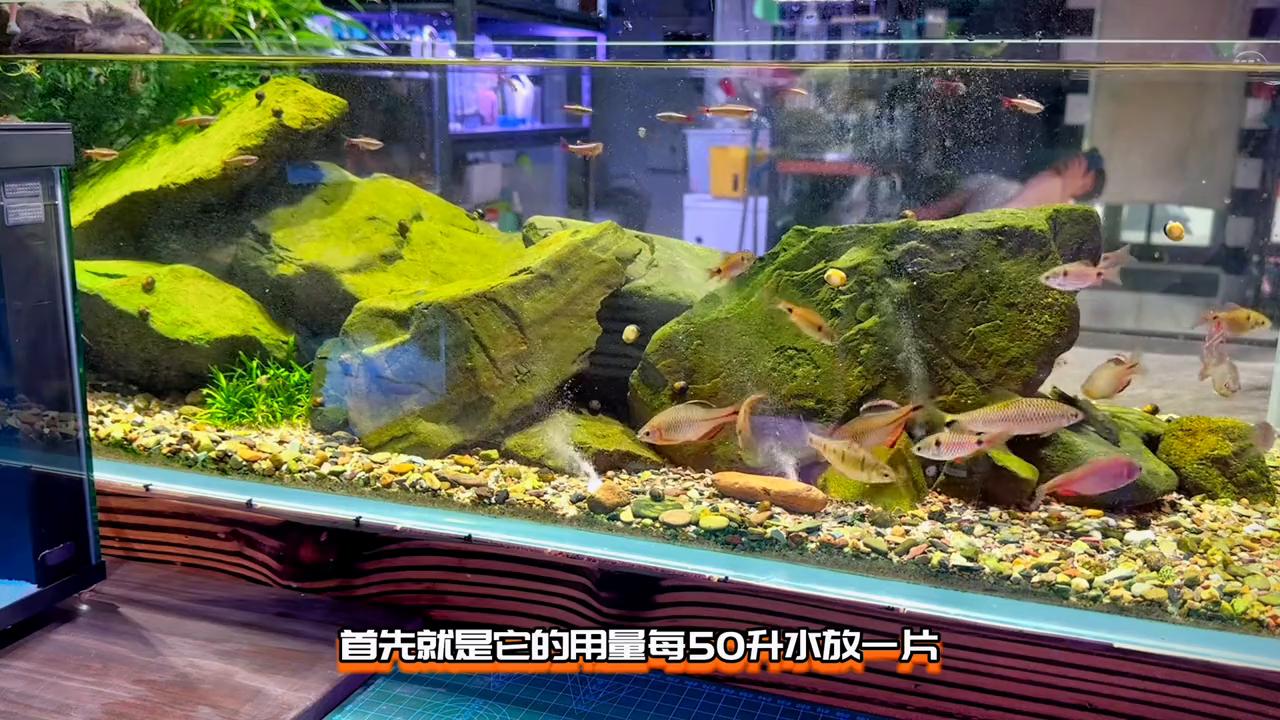水草矮缸造景教程,不需要翻缸的水草造景