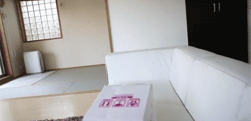 一对可爱猫咪照片,可爱小猫猫超萌照片戴头套