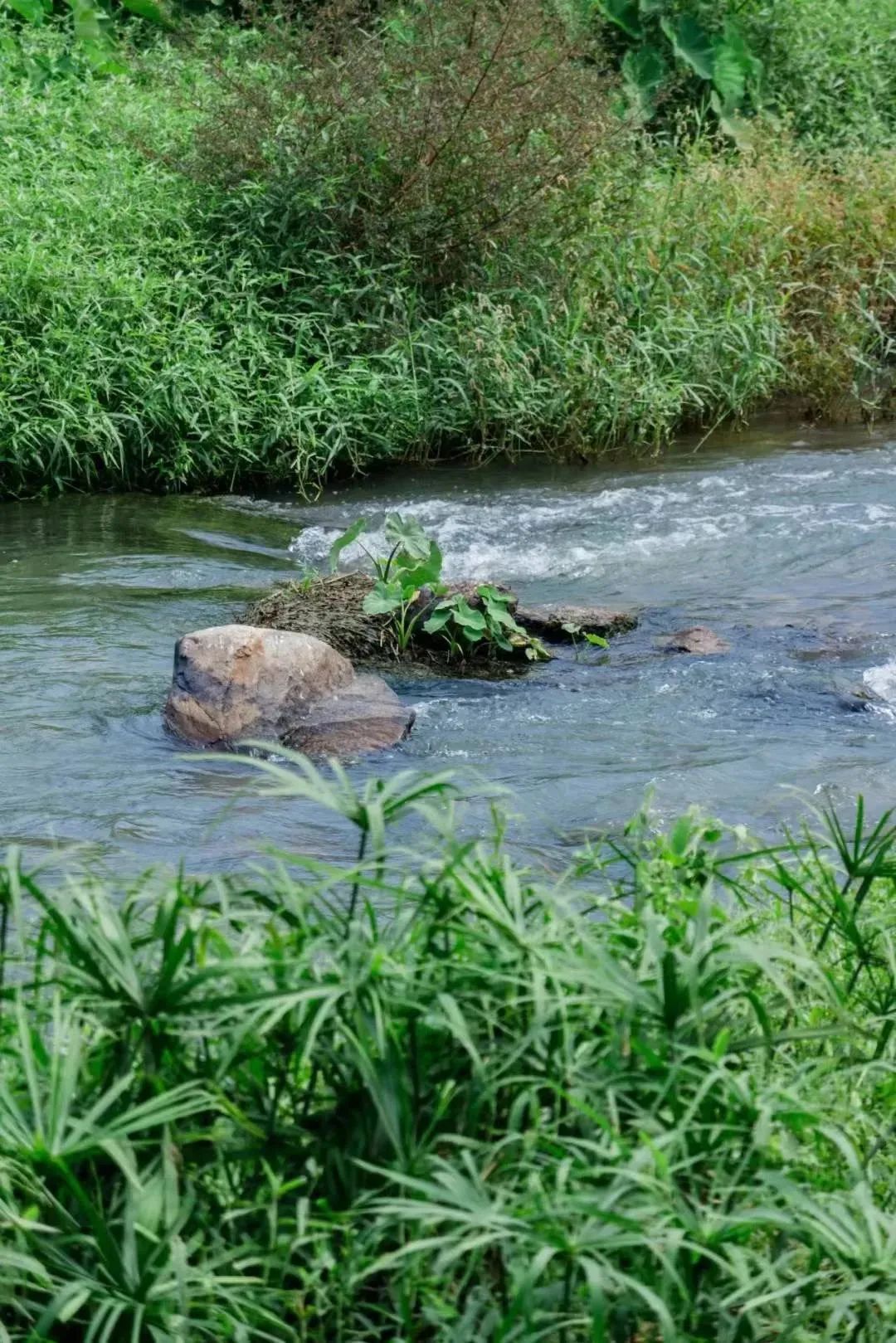 深圳十条景美徒步路线推荐,深圳水库徒步路线图