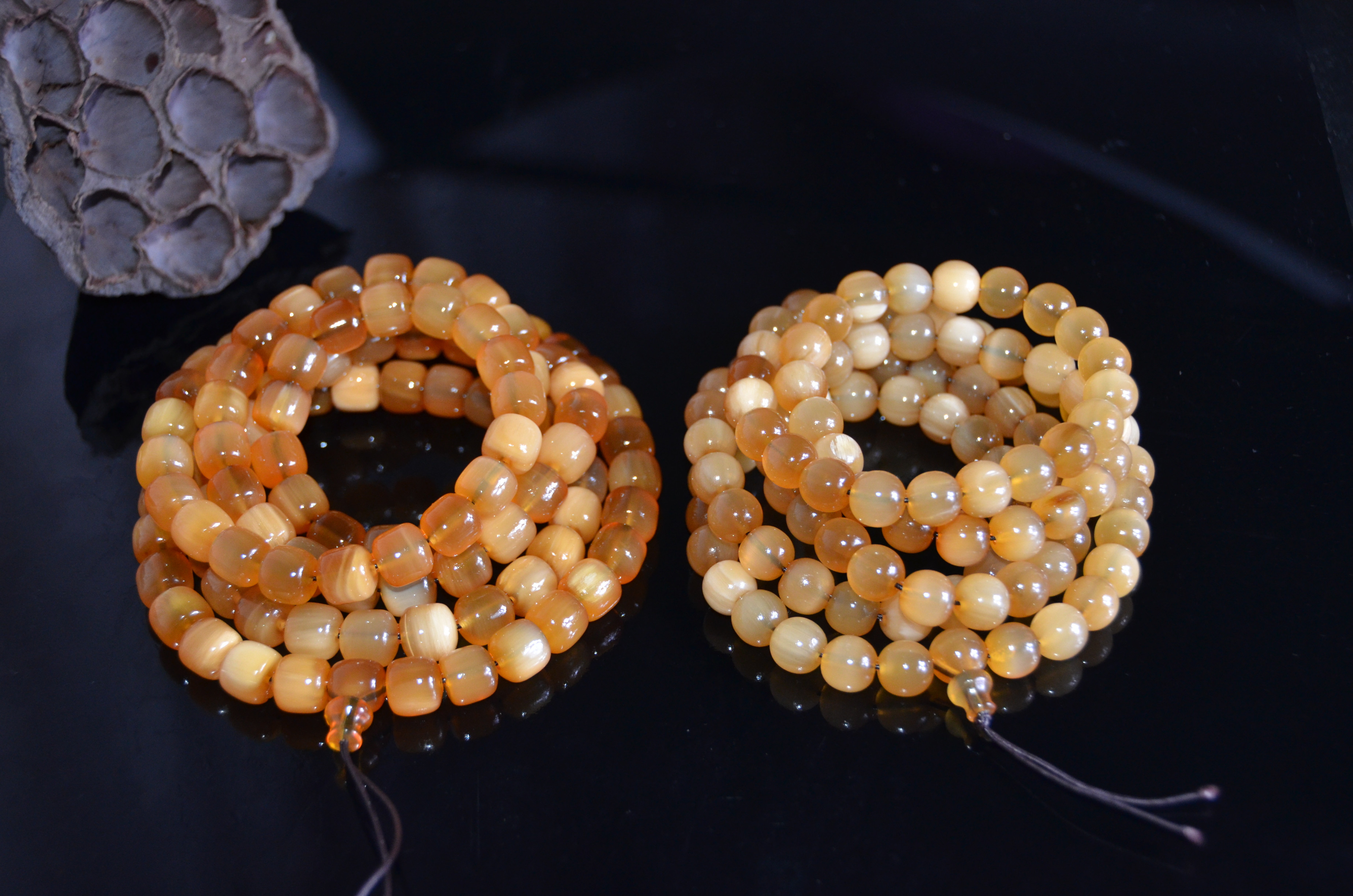 金丝野牦牛是几级保护动物,野牦牛属于国家几级保护动物