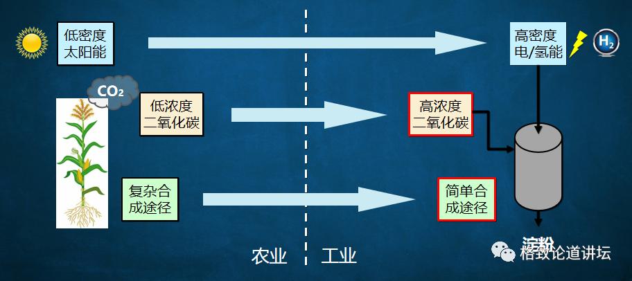 二氧化碳变成淀粉靠谱吗,用二氧化碳合成的淀粉怎样吃
