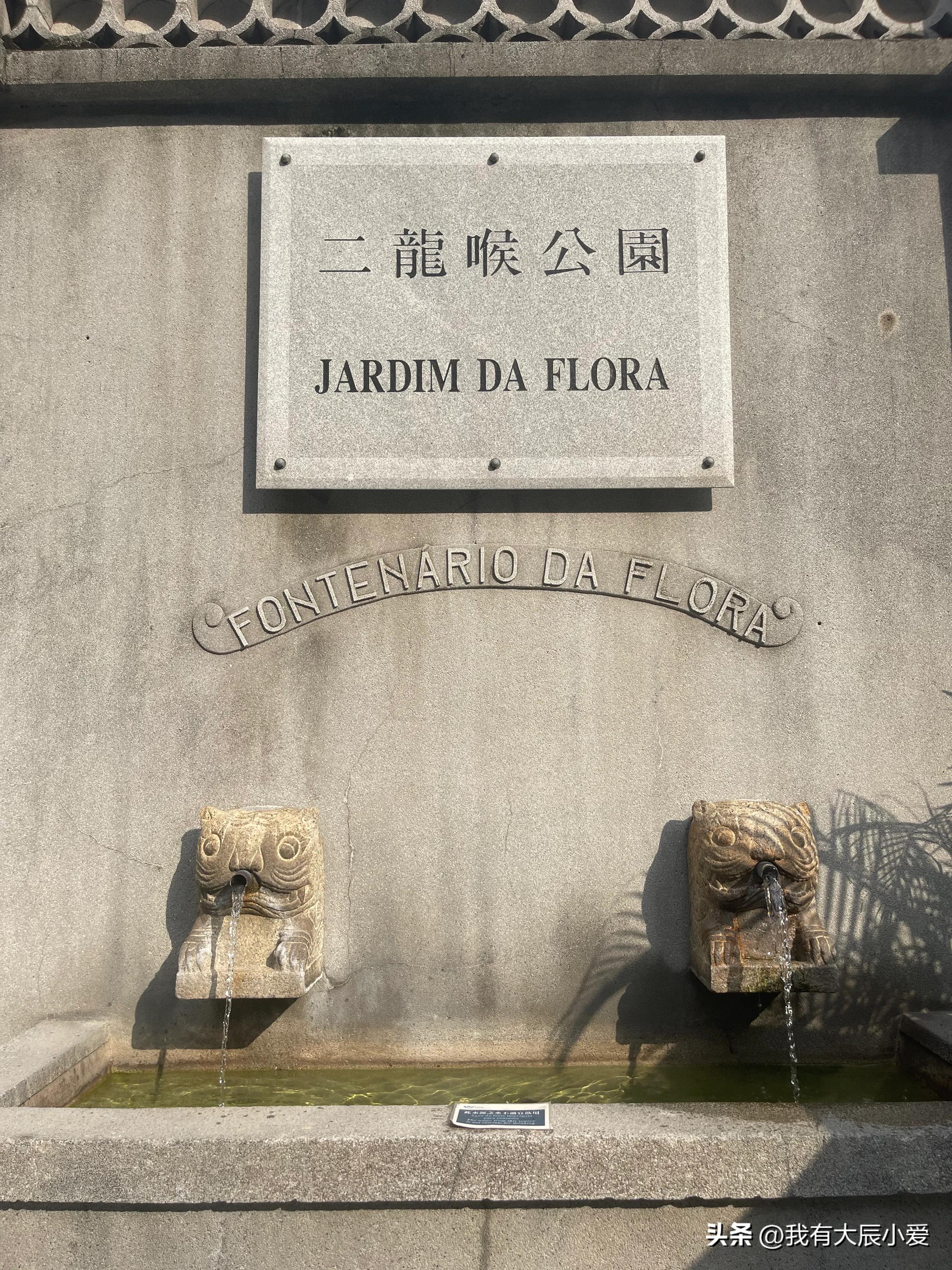 去澳门带小孩攻略,带娃去澳门好玩吗