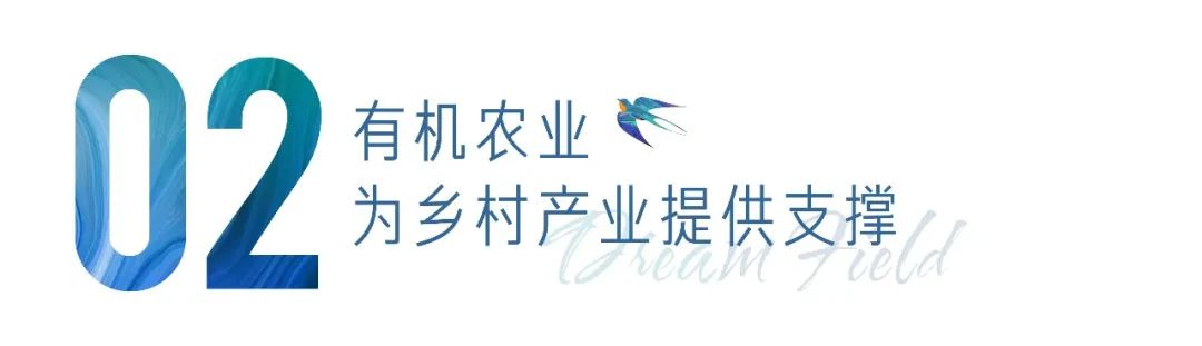 多利桃花源有机农庄,多利桃花源旅行