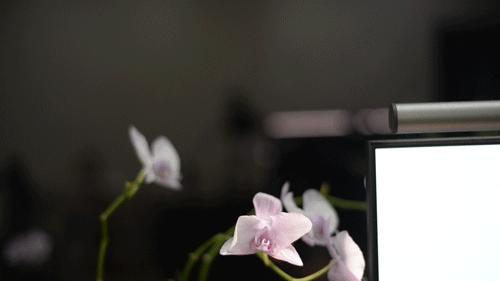 电动升降桌需要怎样进行操作,手摇电动升降桌怎么选择