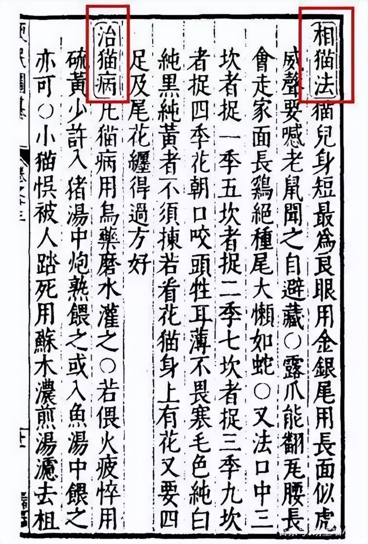 老祖宗教你选猫,老祖宗留下的风水诀100条