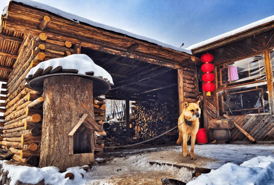 乡土散文乡村的惬意生活,农村儿时的冬天散文