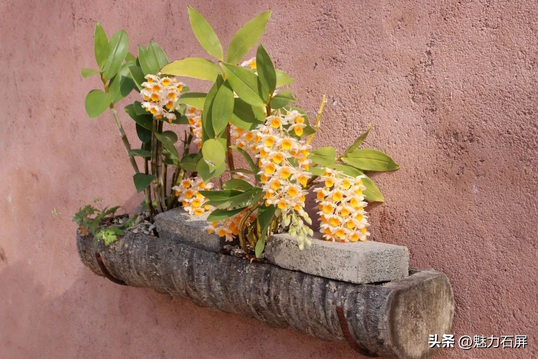 石屏哨冲拖黑村,哨冲镇拖龙黑村图片