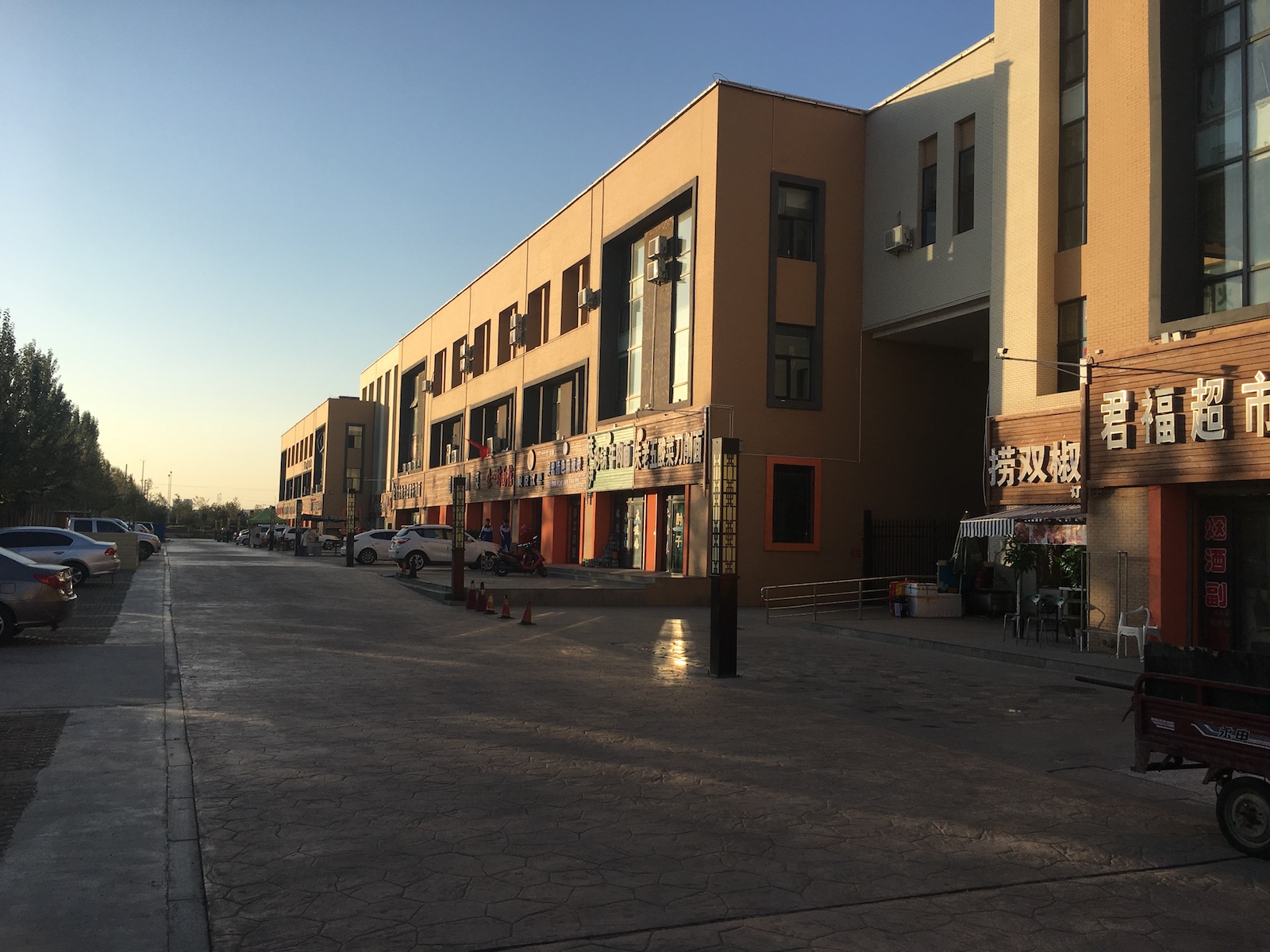 北京自驾额济纳胡杨林十天攻略,从北京到额济纳胡杨林线路