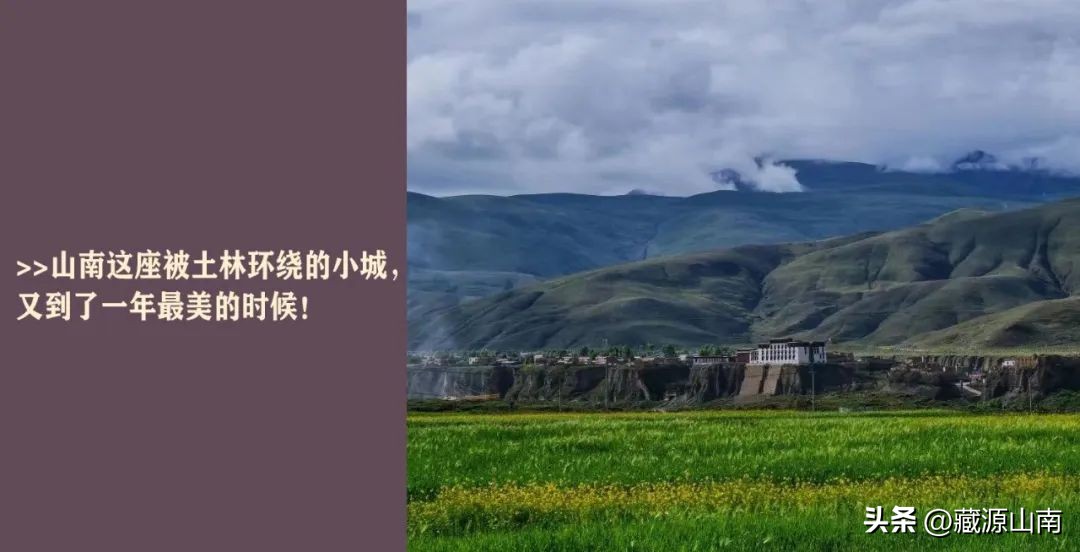 山南的变化,关于山南的问题